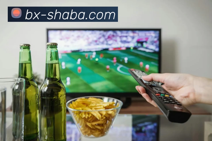 多媒体互动体验